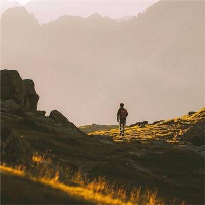 美国债市:美国国债维持涨势 尽管5年期债券发行疲软