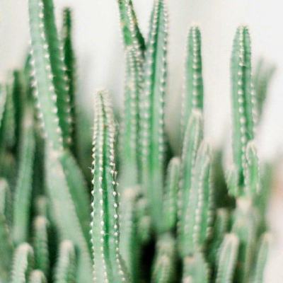 章子怡晒两个女儿照片,网友:大女儿和私下差别太大